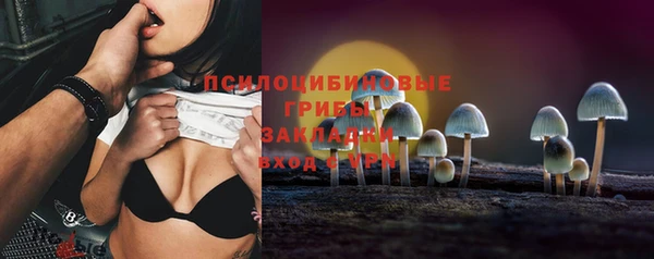 крисы Богородицк