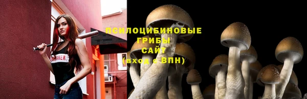 прущая мука Баксан
