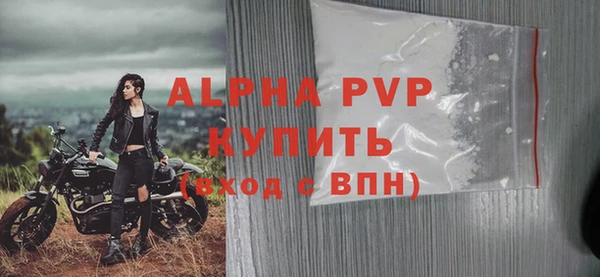 молекула духа Бородино