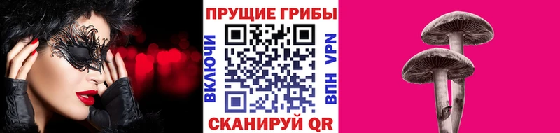 мега вход  Валдай  Псилоцибиновые грибы Cubensis 